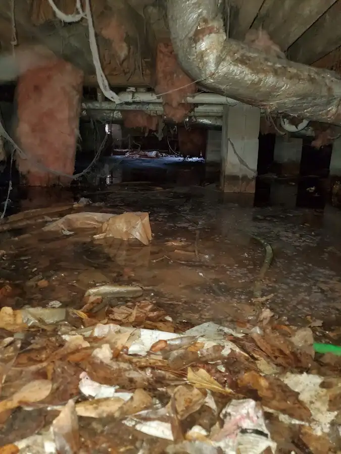 Crawl space flood assessment for Commercial Water Damage Restoration in Torrance