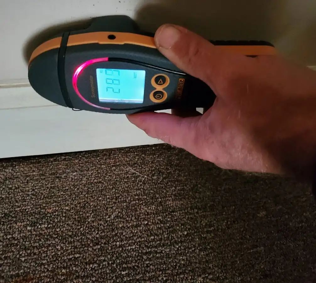 Moisture detection at baseboard during Mold Inspection & Testing in Torrance