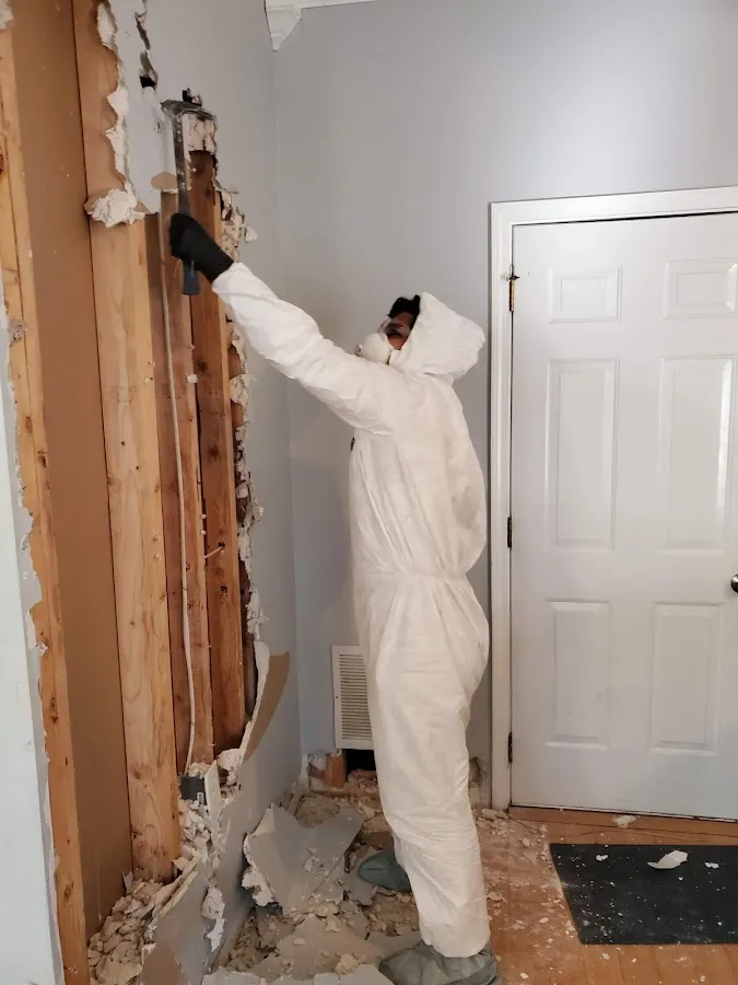 Mold Inspection & Testing in Torrance, CA